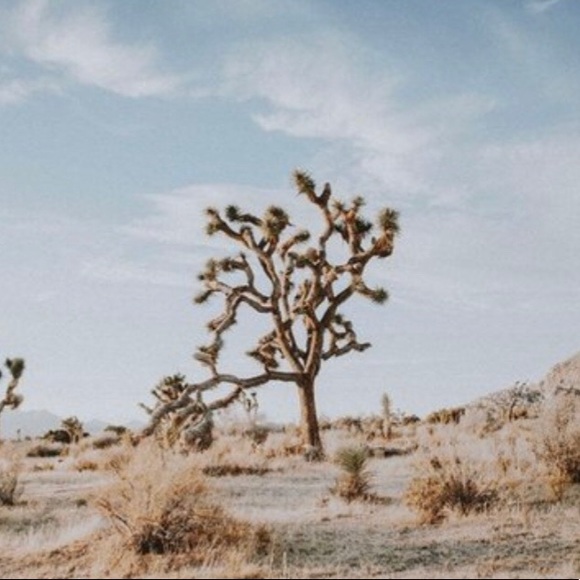 Meet your Posher, Katelyn - Picture 1 of 1